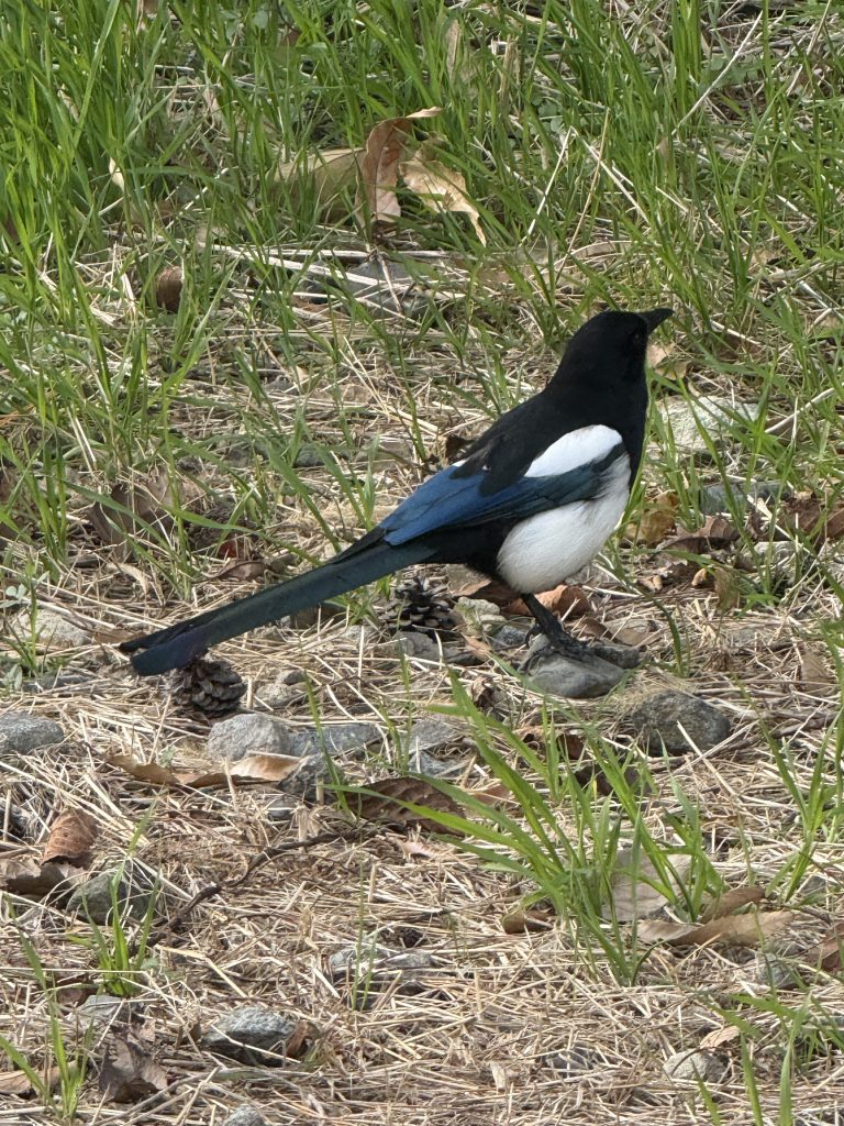 The Great Time Swindle: Trading Your Prime for Pennies