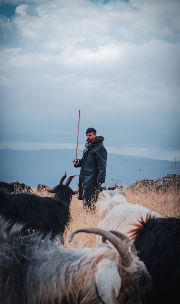 A shepherd in traditional attire guides his goat herd across a mountainous pasture under a cloudy sky.